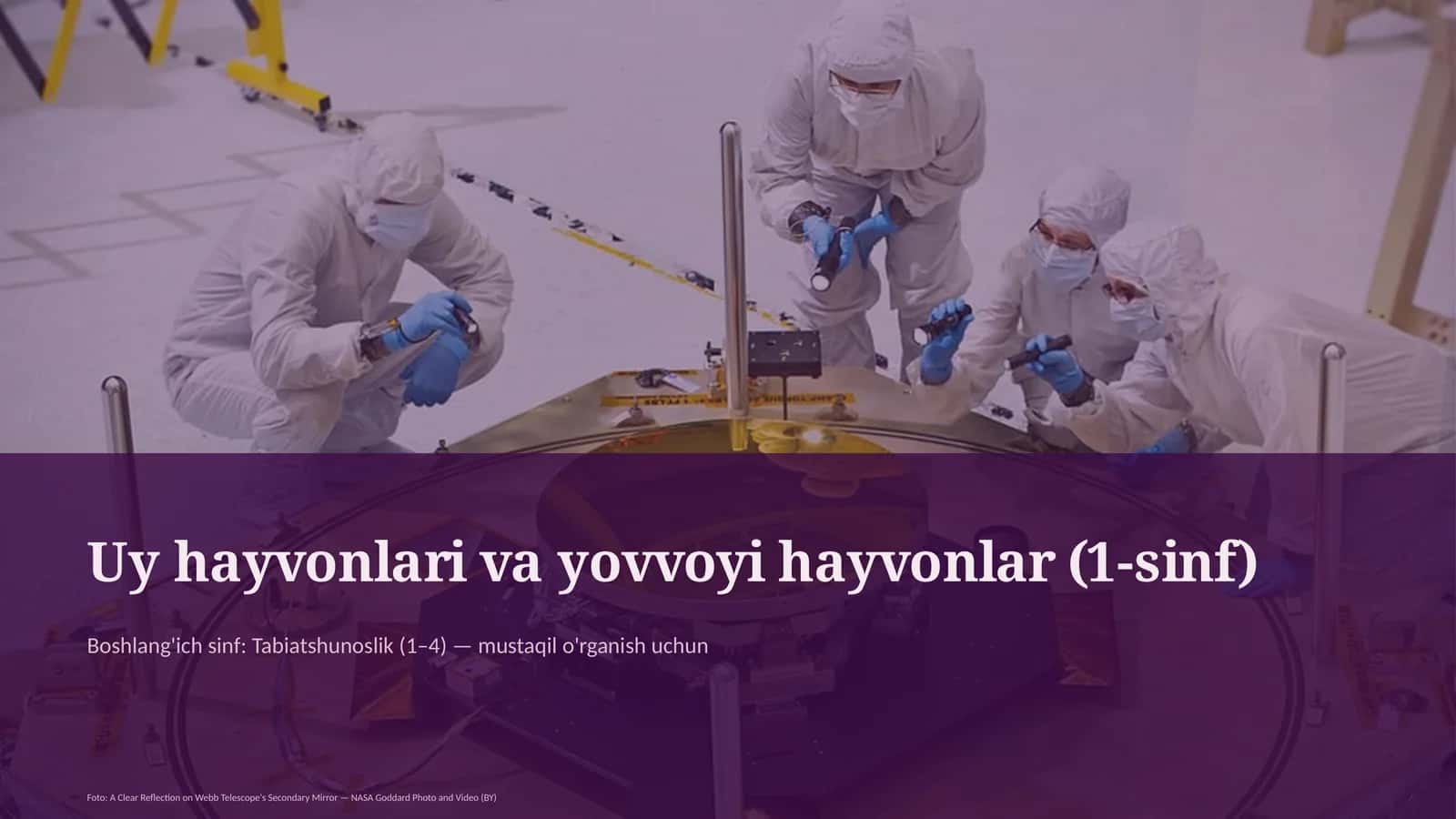 uy hayvonlari va yovvoyi hayvonlar 1 sinf 818