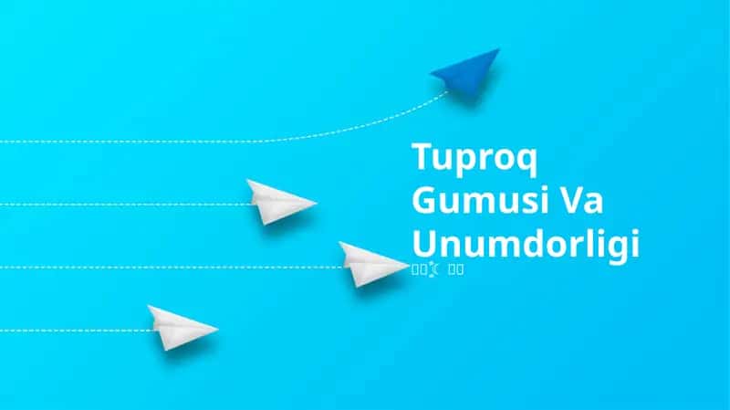 Tuproq Gumusi Va Unumdorligi