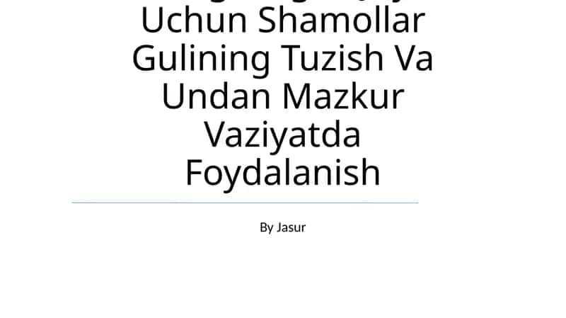 Belgilangan Joy Uchun Shamollar Gulining Tuzish Va Undan Mazkur Vaziyatda Foydalanish