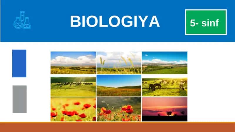 BIOLOGIYA 5-sinf MUSTAHKAMLASH