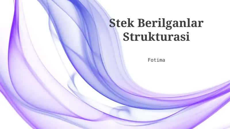 Stek Berilganlar Strukturasi