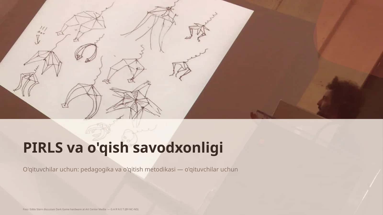 PIRLS va o'qish savodxonligi