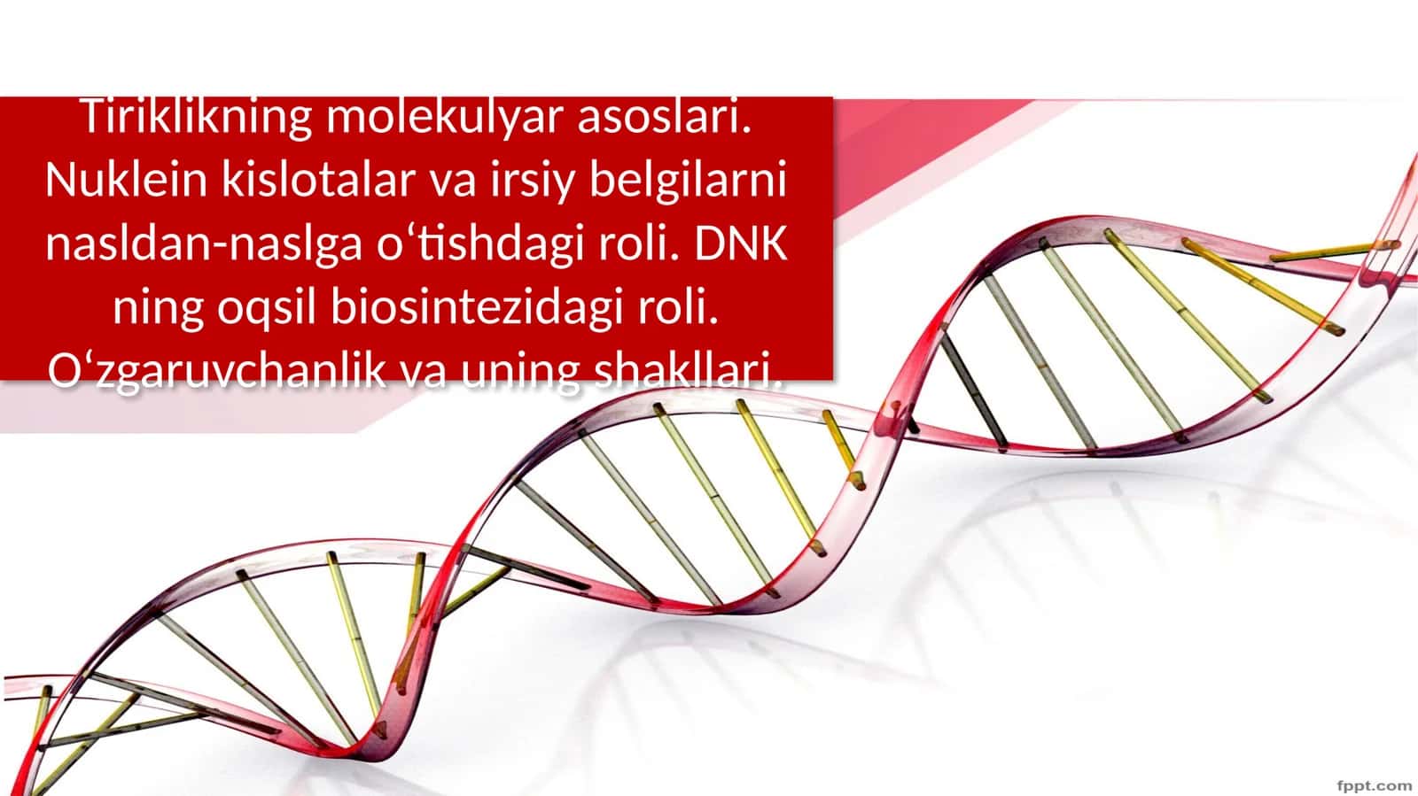 Nuklein kislotalar va irsiy belgilarni nasldan-naslga o‘tishdagi roli