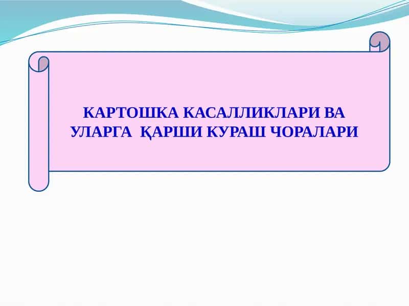 КАРТОШКА КАСАЛЛИКЛАРИ ВА УЛАРГА ҚАРШИ КУРАШ ЧОРАЛАРИ