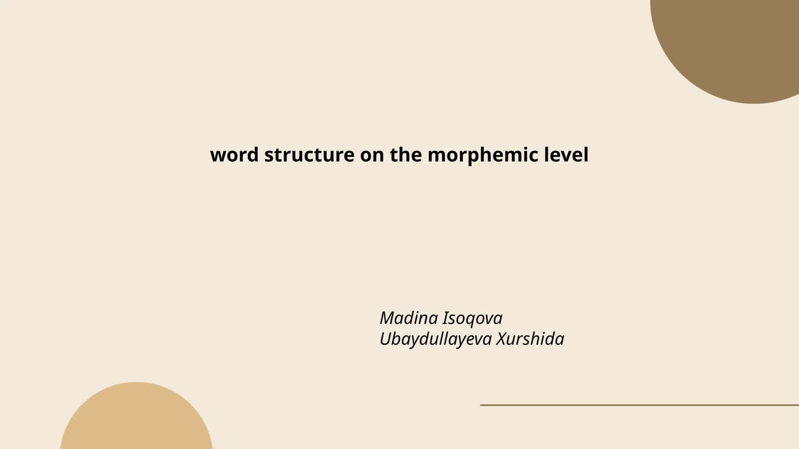 Word structure on the morphemic level