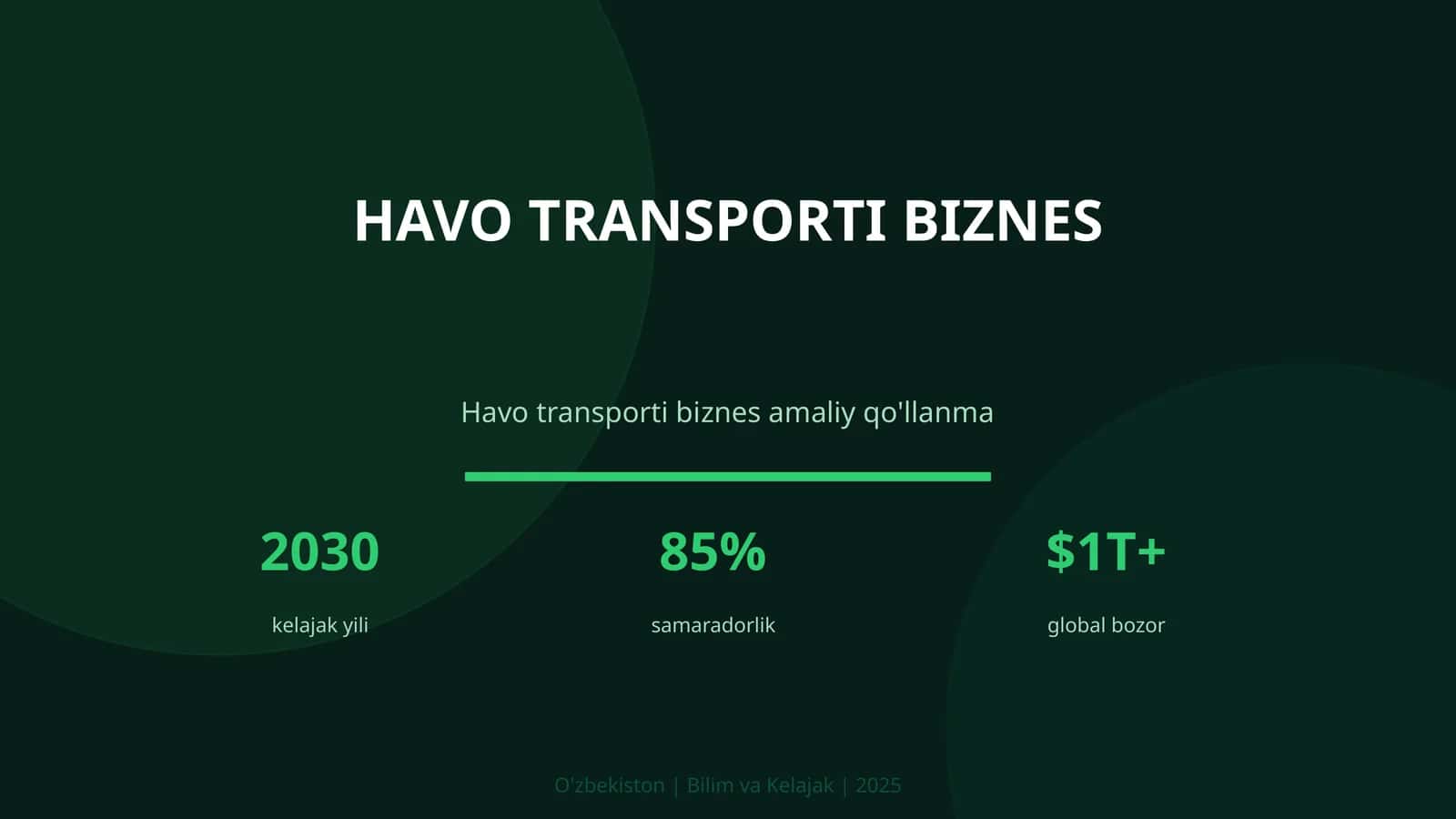 Havo transporti biznes