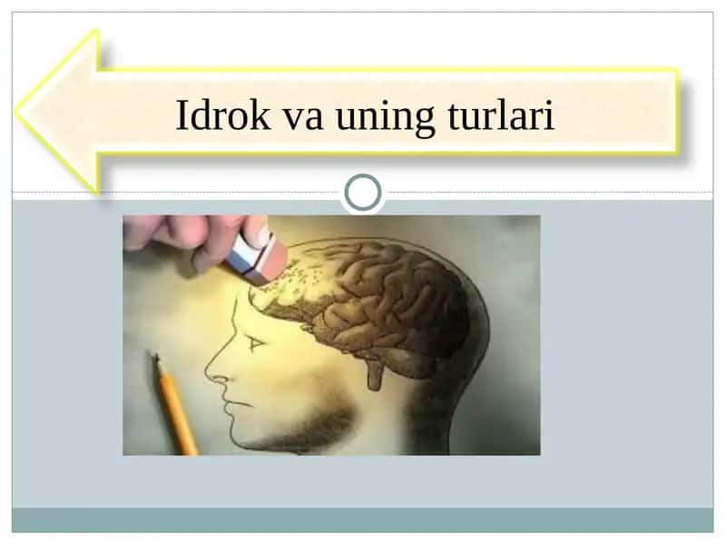 Idrok va uning turlari