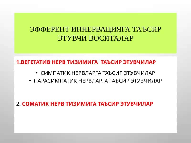 Эфферент иннервация
