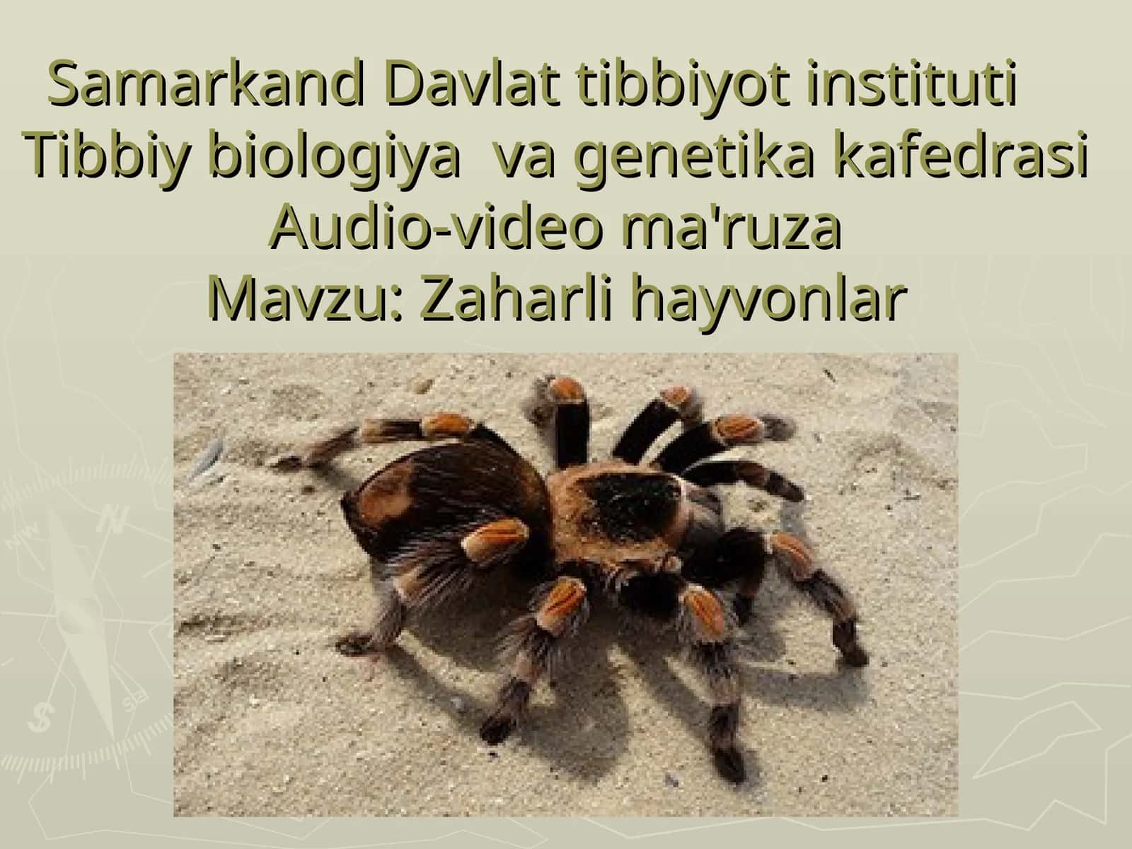 Zaharli hayvonlar