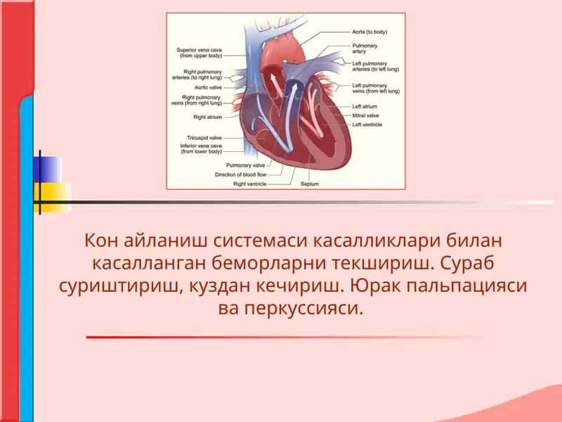 Кон айланиш системаси касалликлари билан касалланган беморларни текшириш. Сураб суриштириш, куздан кечириш. Юрак пальпацияси ва перкуссияси.