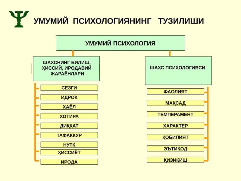 Умумий психология