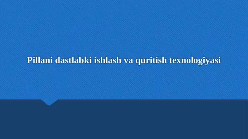 Pillani dastlabki ishlash va quritish texnologiyasi