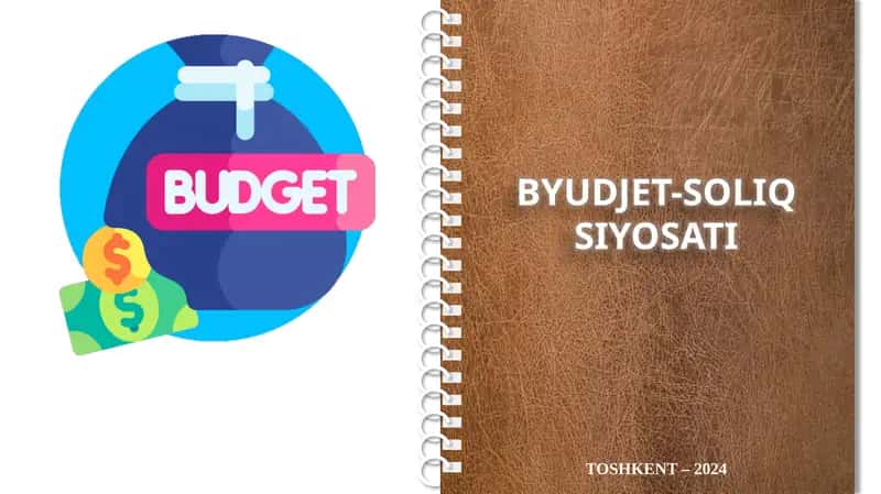 Byudjet-soliq siyosati