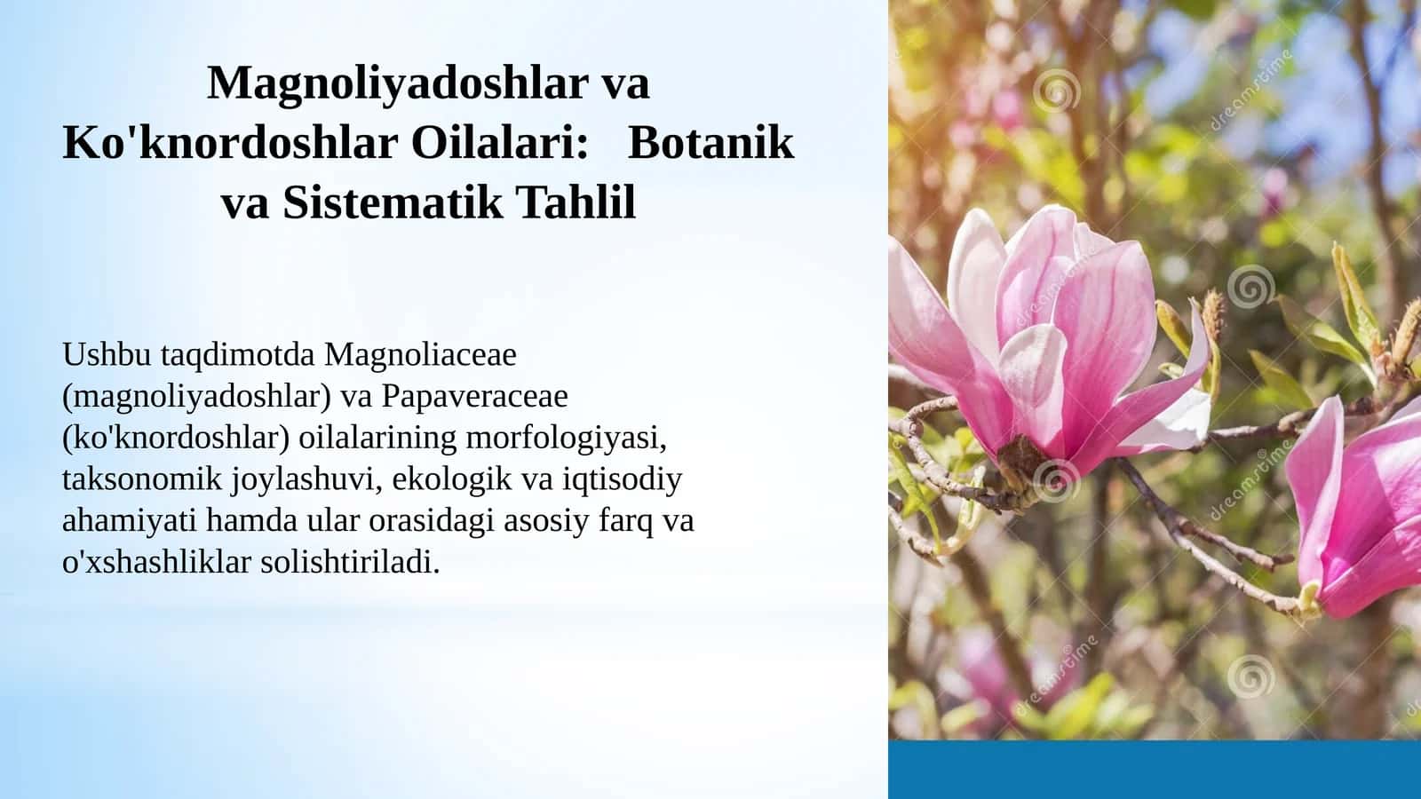 MagnoliyadoshlarvaKo'knordoshlarOilalari:Botanikva Sistematik Tahlil