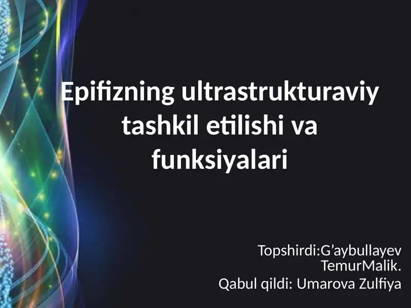 Epifizning ultrastruktura viy tashkili shivafunksiyalari