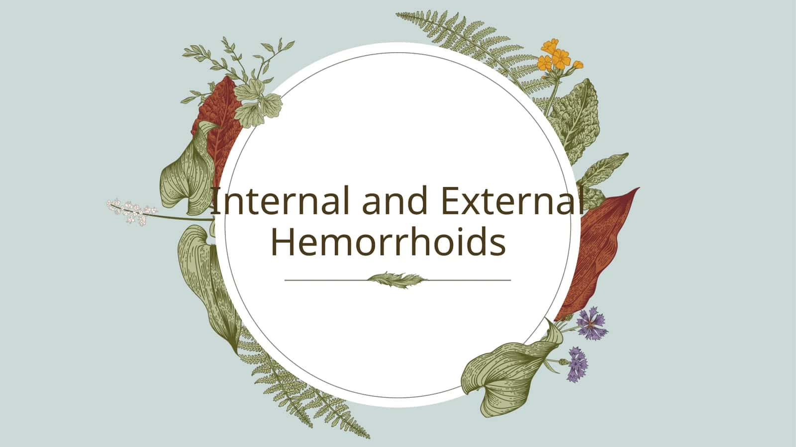 Internal and External Hemorrhoids