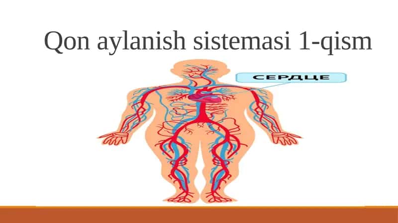 Qonaylanish sistemasi 1-qism