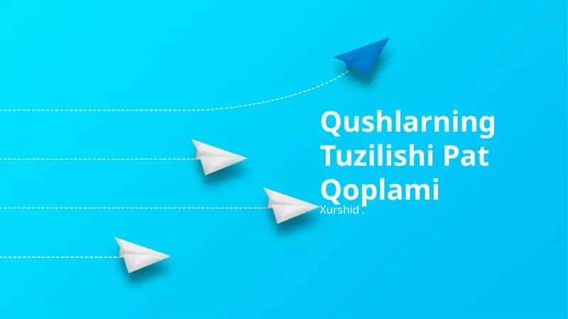 Qushlarning Tuzilishi Pat Qoplami