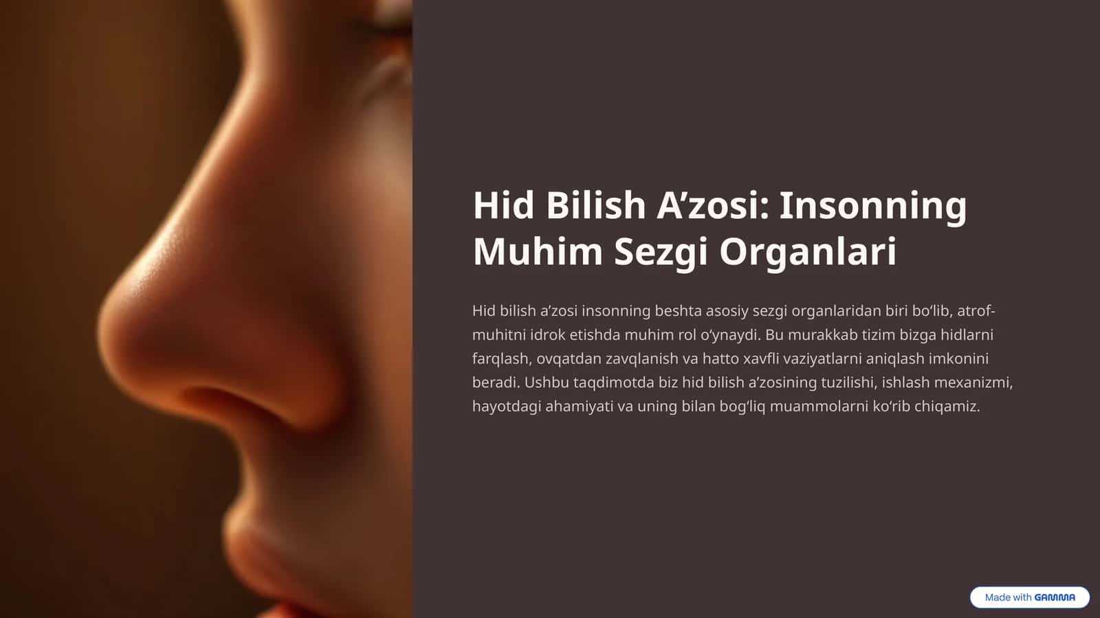 Hid Bilish A’zosi: Insonning Muhim Sezgi Organlari