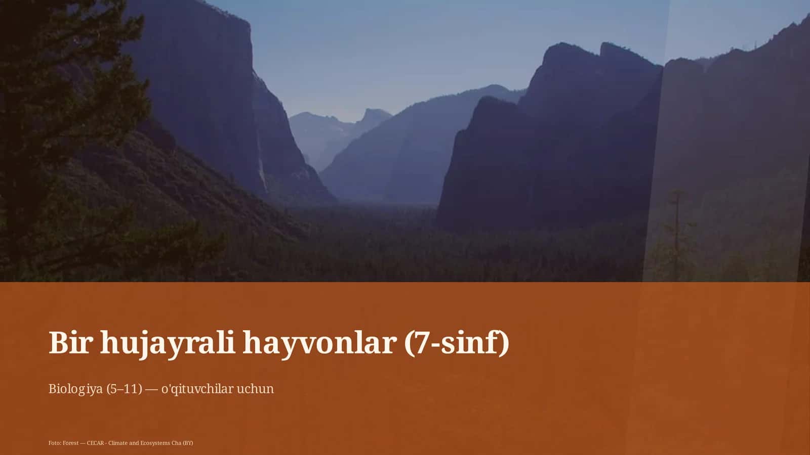 Bir hujayrali hayvonlar (7-sinf)