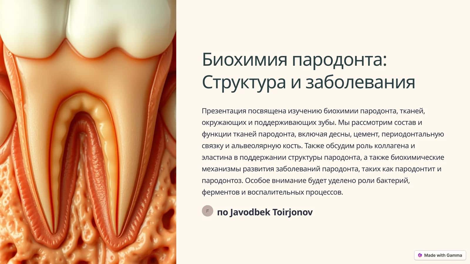 Биохимия пародонта: Структура и заболевания