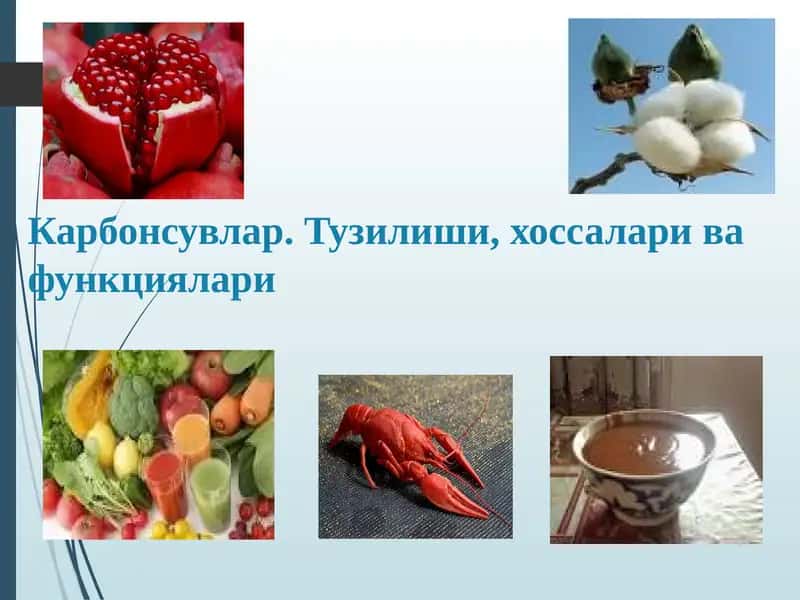 Карбонсувлар. Тузилиши, хоссалари ва функциялари