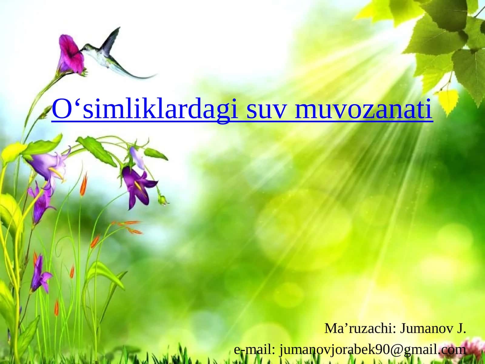 O‘simliklardagi suv muvozanati