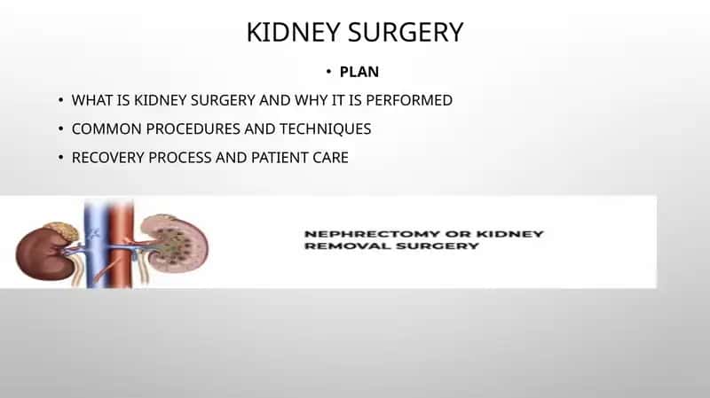 Kidney Surgery