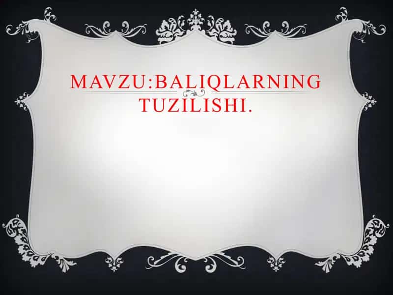 Baliqlarning tuzilishi
