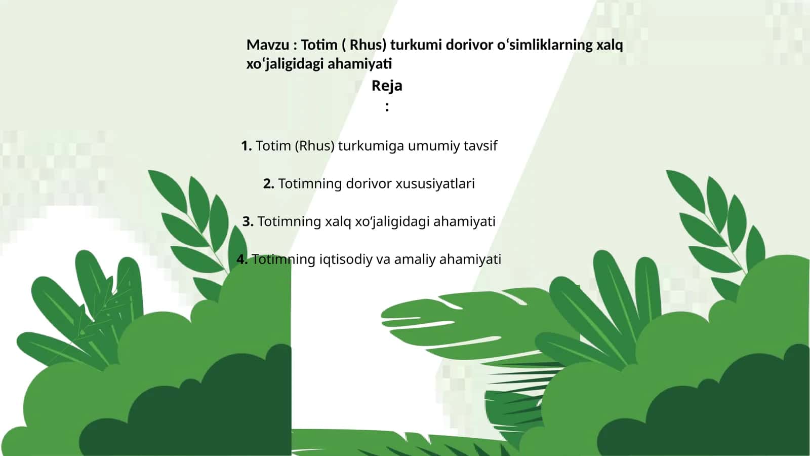 Totim ( Rhus) turkumi dorivor o‘simliklarning xalq xo‘jaligidagi ahamiyati
