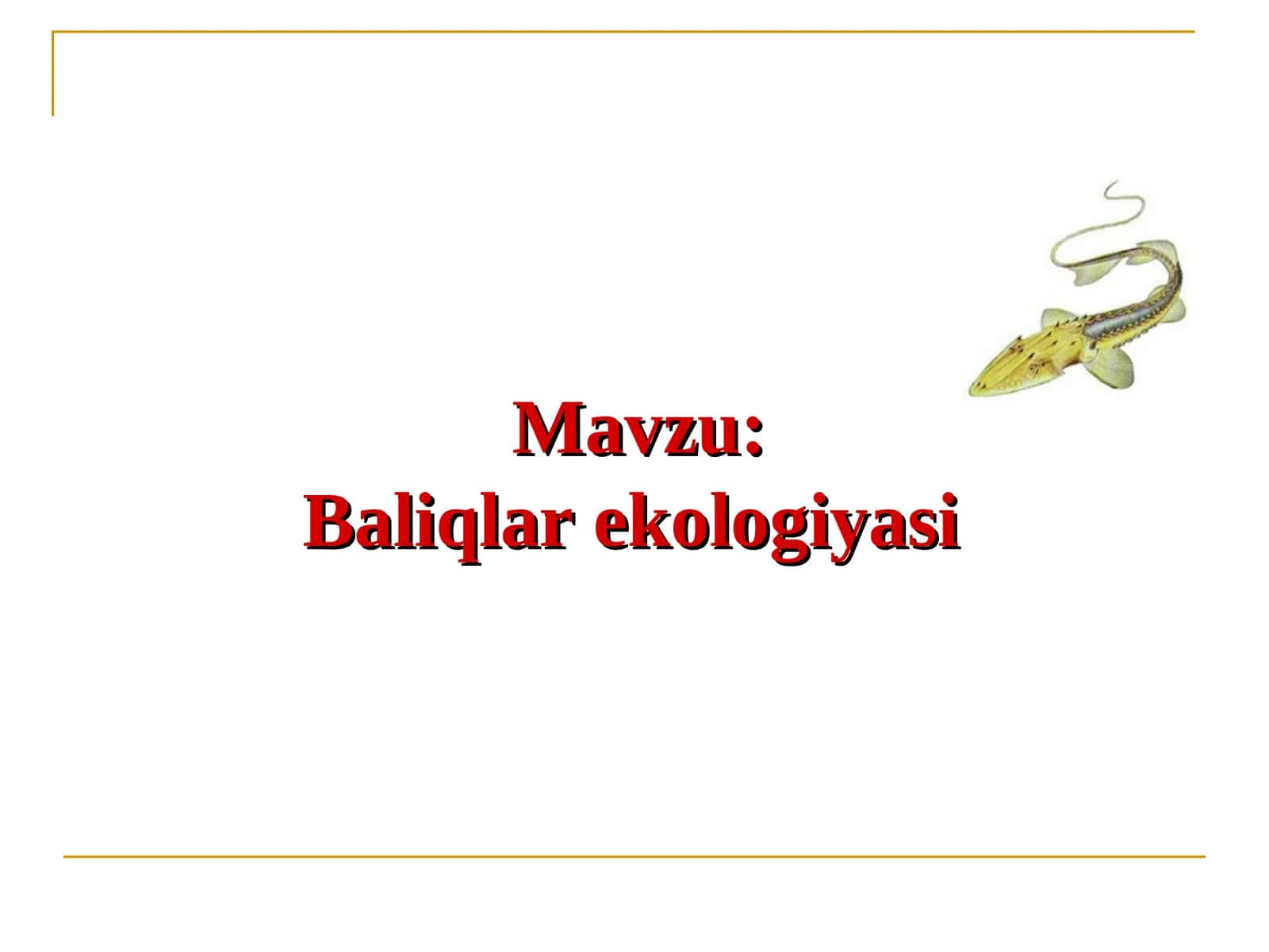 Baliqlar ekologiyasi
