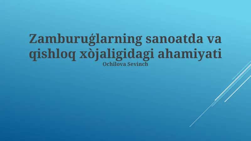 Zamburuğlar yetishtirish texnologiyalari