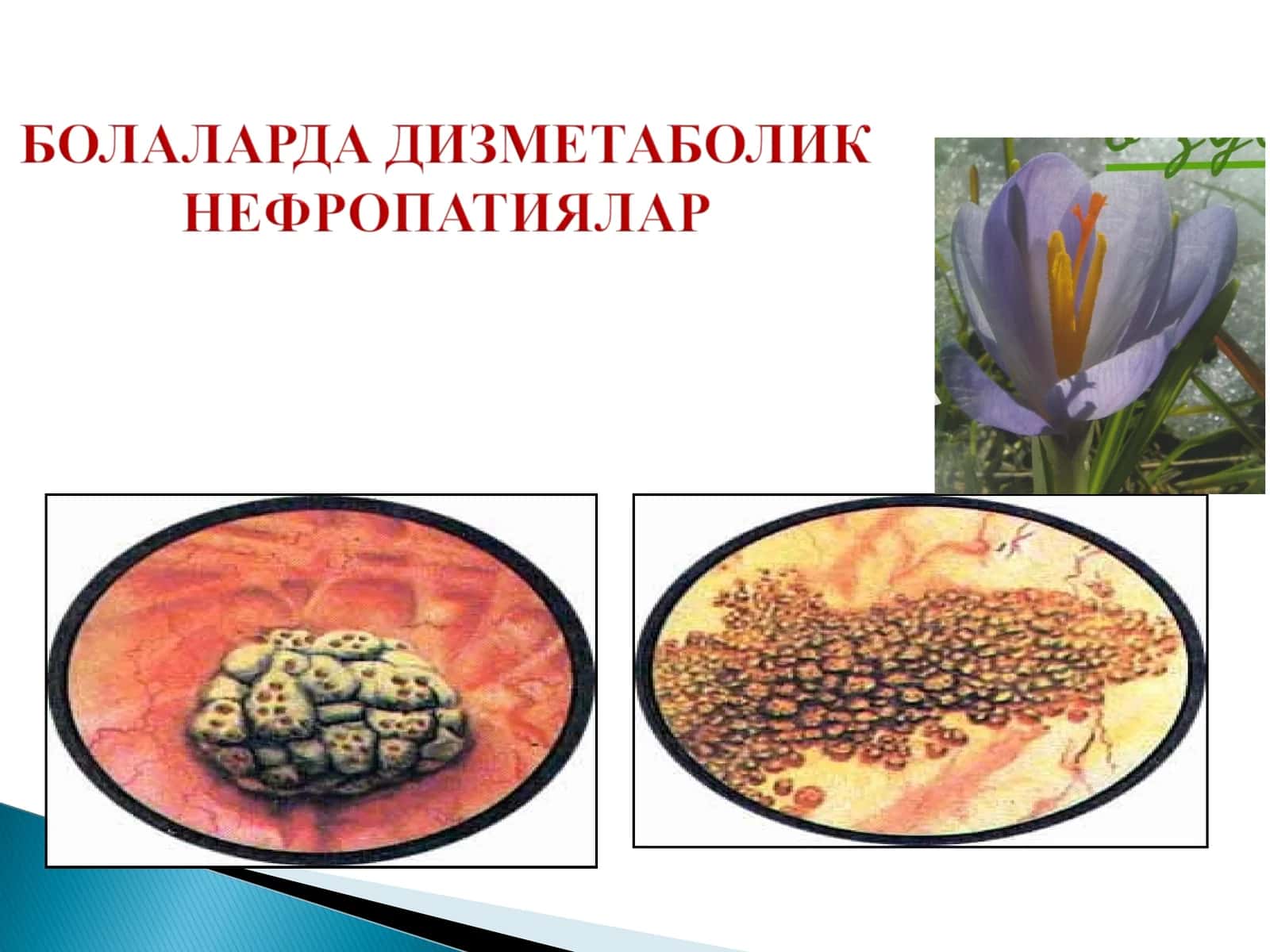 Мавзу: Мавжуд моддалар