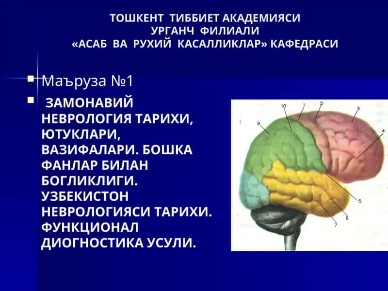 ЗАМОНАВИЙ НЕВРОЛОГИЯ ТАРИХИ, ЮТУКЛАРИ, ВАЗИФАЛАРИ