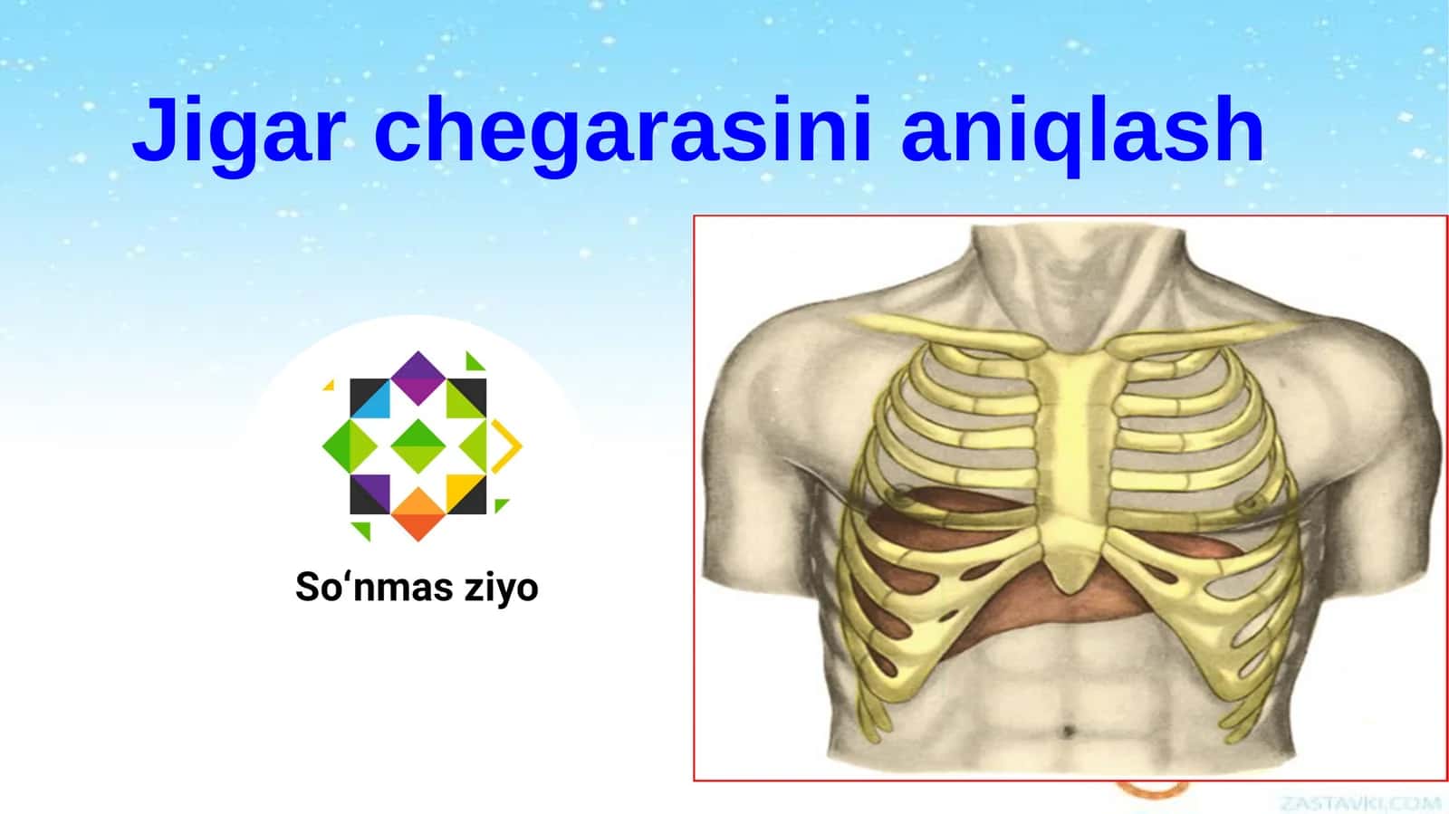 Jigar chegarasini aniqlash