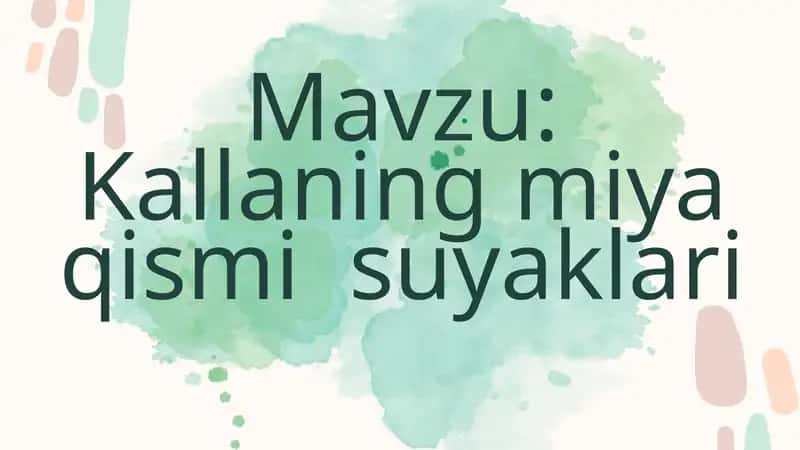 Kallaning miya qismi suyaklari