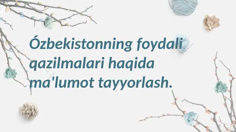 Oʻzbekistonning foydali qazilmalari haqida maʼlumot