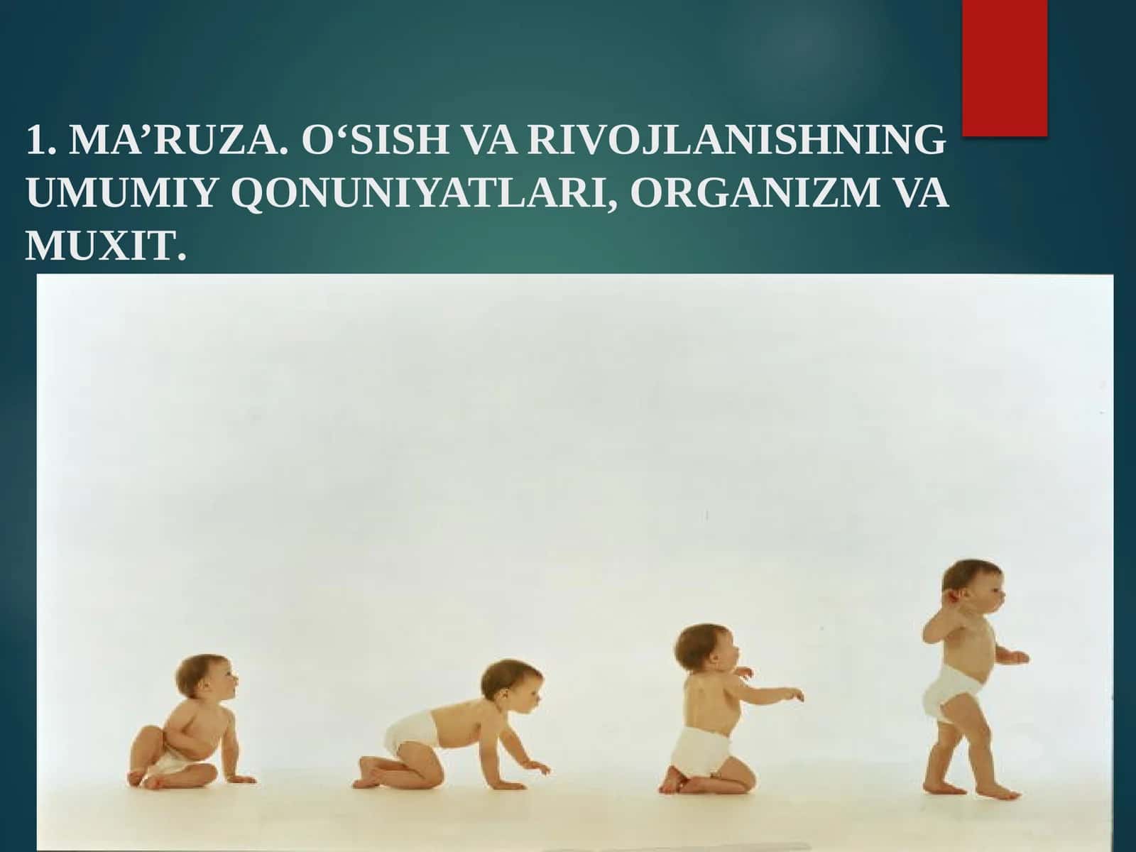 MA’RUZA.O‘SISH VA RIVOJLANISHNING UMUMIY QONUNIYATLARI, ORGANIZM VA MUXIT