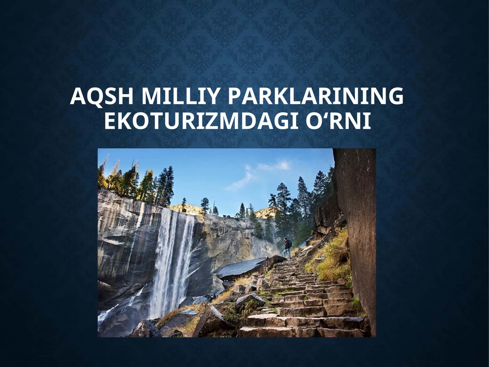 АQSh milliy parklarining ekoturizmda gio‘rni