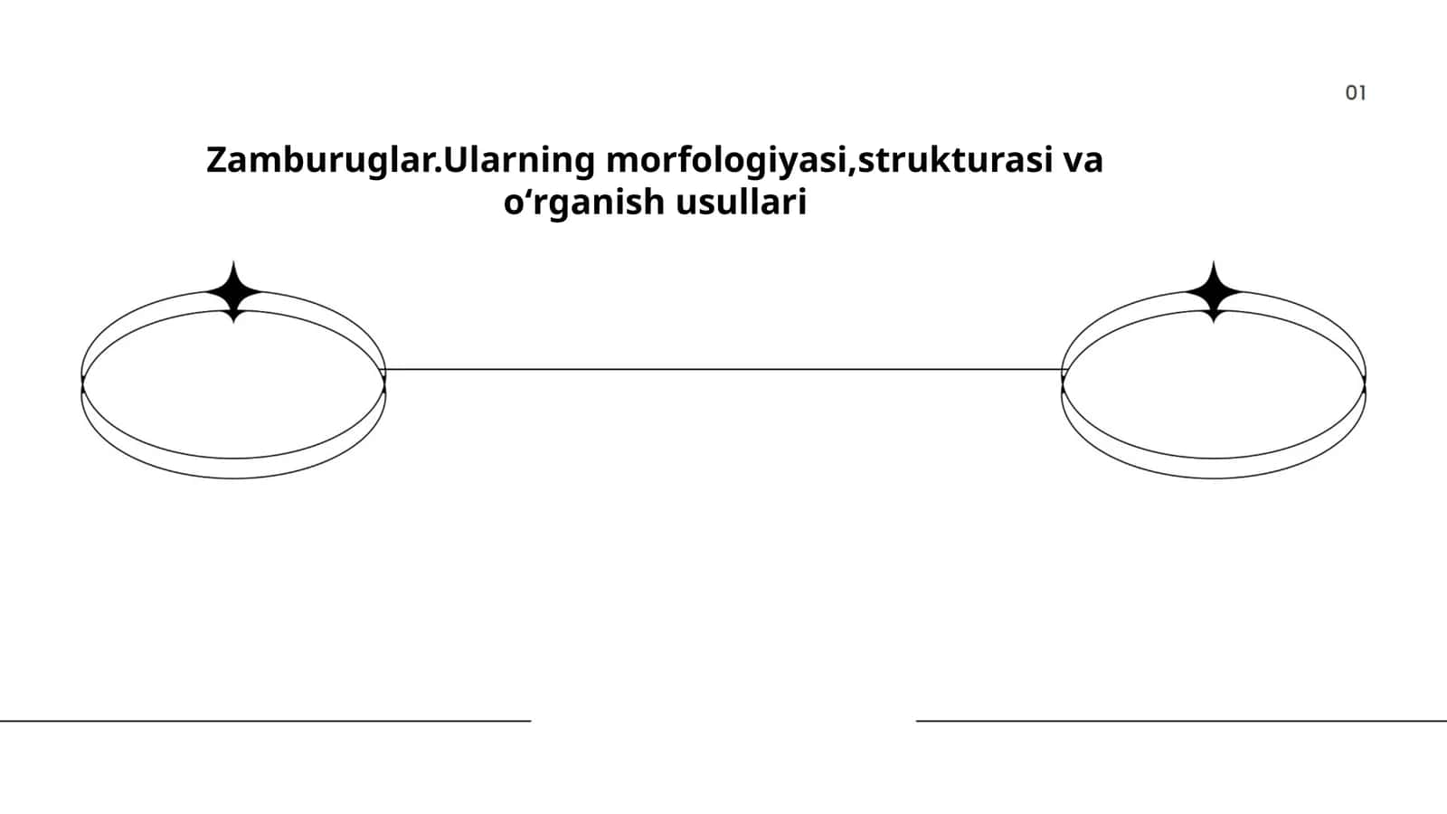 Zamburuglar.Ularning morfologiyasi,strukturasi va oʻrganish usullari