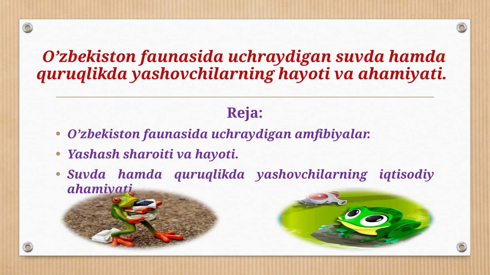 O’zbekiston faunasida uchraydigan amfibiyalar