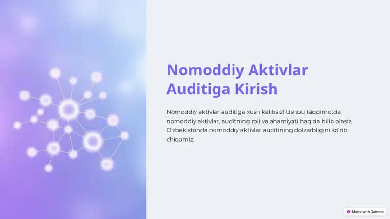 Nomoddiy Aktivlar Auditiga Kirish
