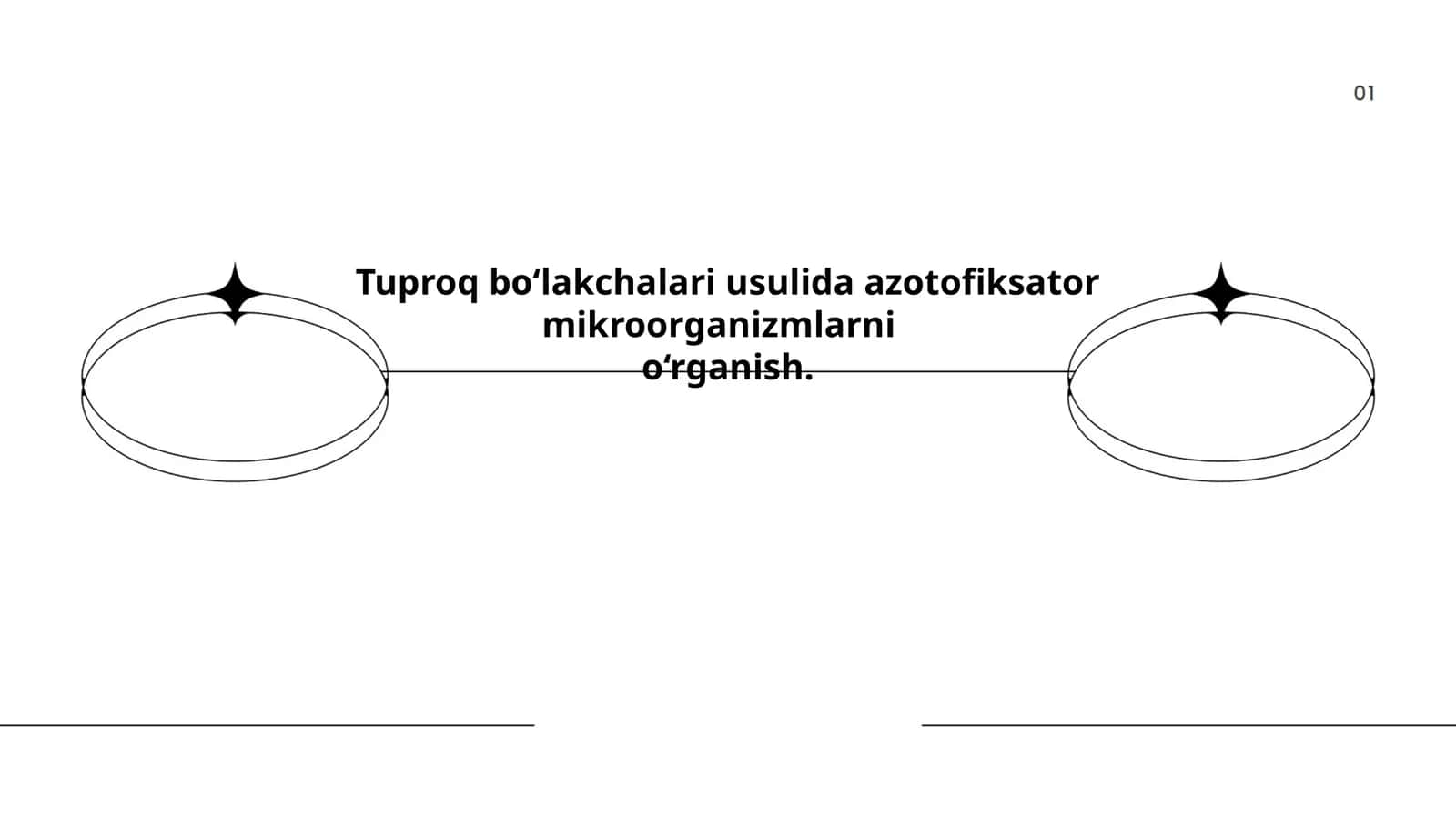 Tuproq bo‘lakchalari usulida azotofiksator mikroorganizmlarni o‘rganish
