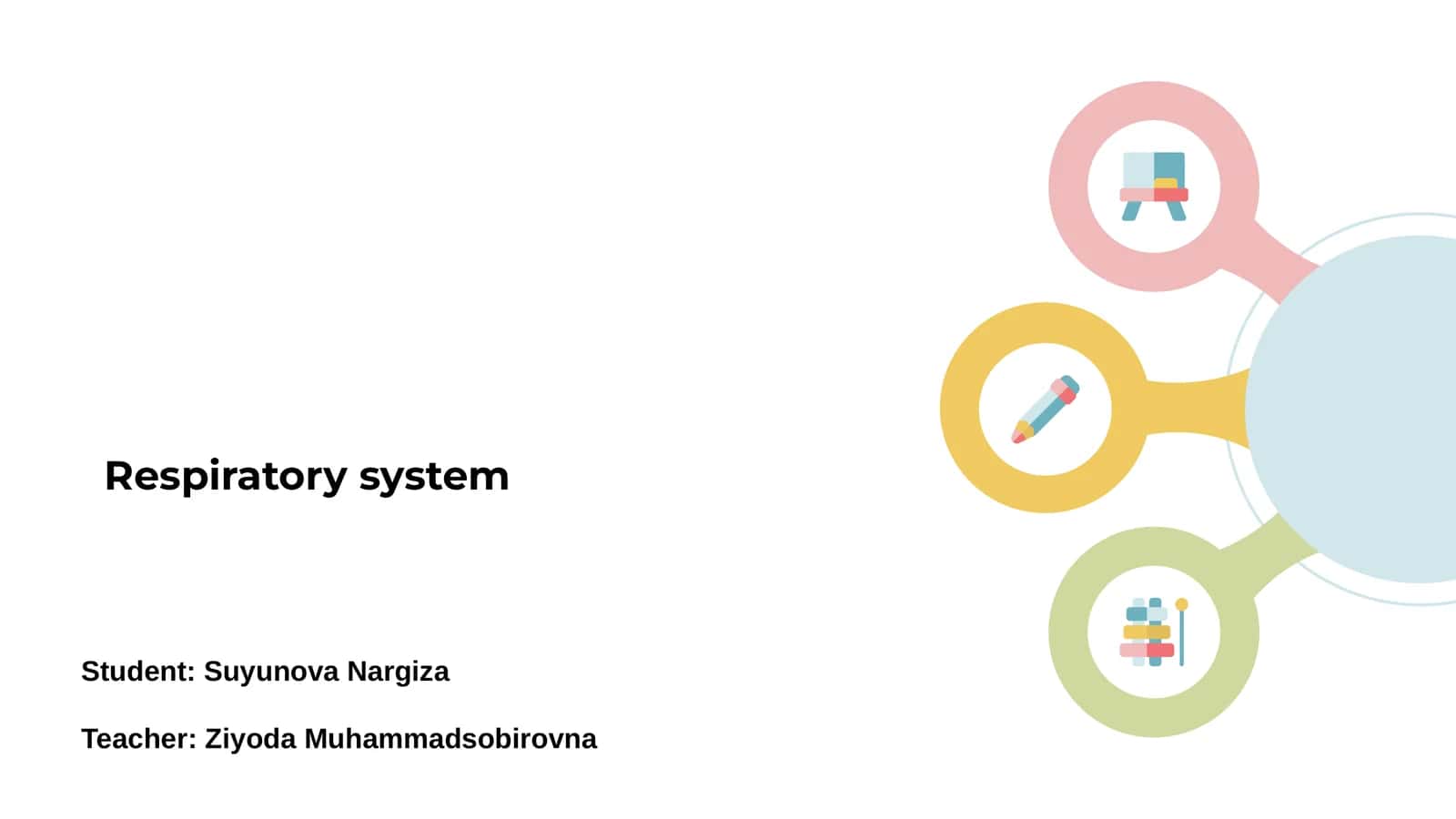 Introduction to the Respiratory System