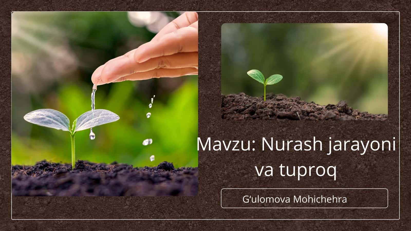 Nurash jarayoni va tuproq