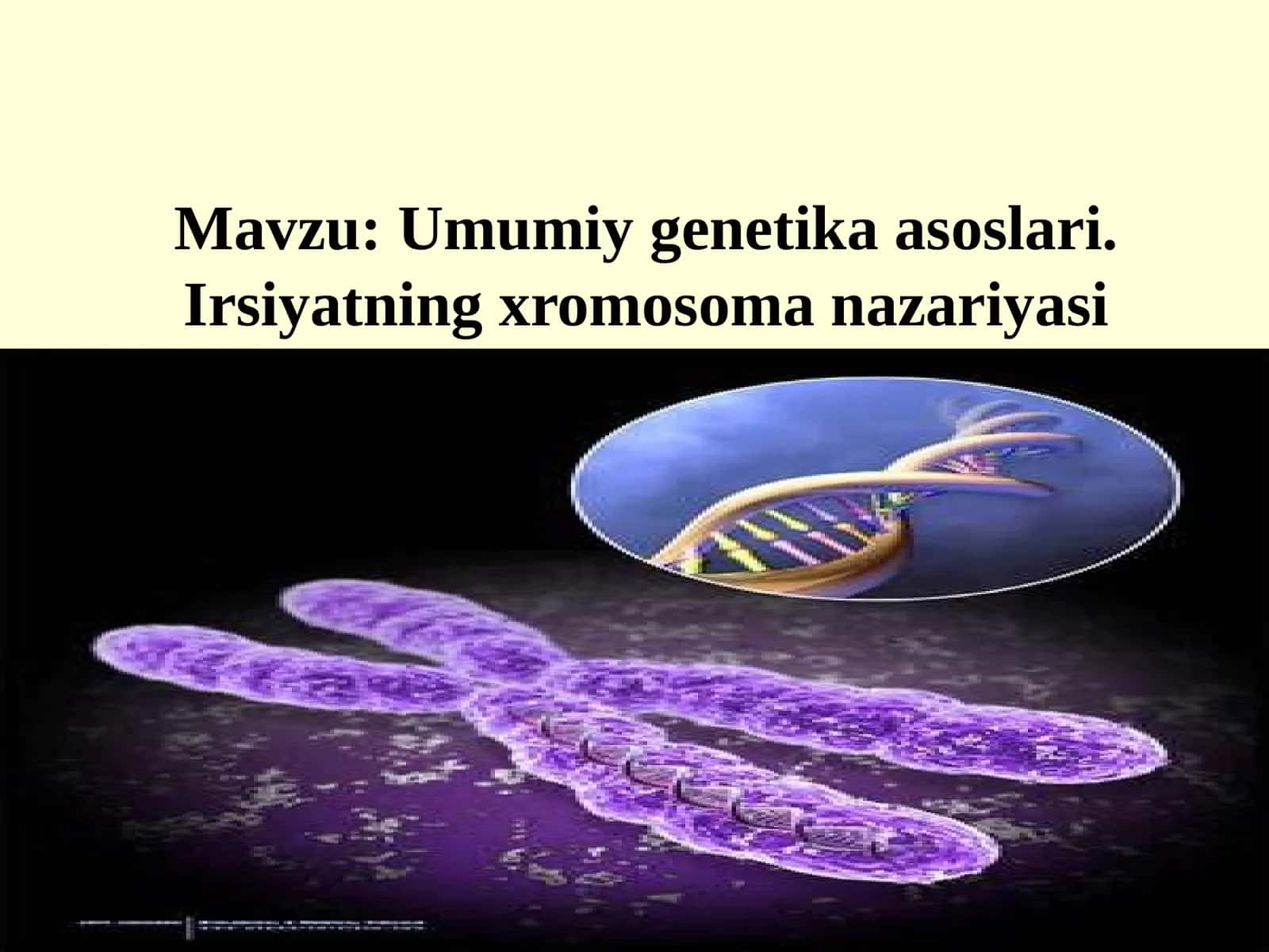 Umumiy genetika asoslari.Irsiyatning xromosoma nazariyasi