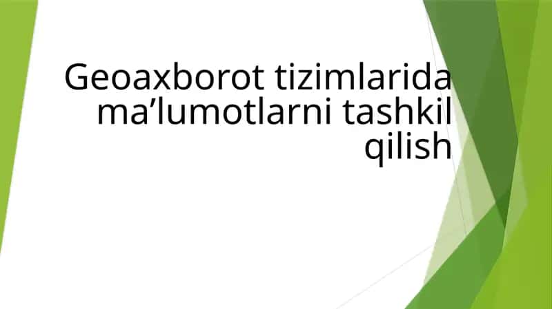 Geoaxborot tizimlarida ma’lumotlarni tashkil qilish