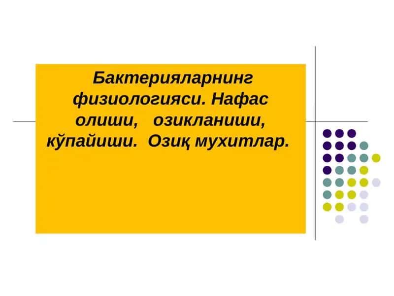 Бактерияларнинг физиологияси. Нафас олиши, озикланиши, кўпайиши. Озиқ мухитлар