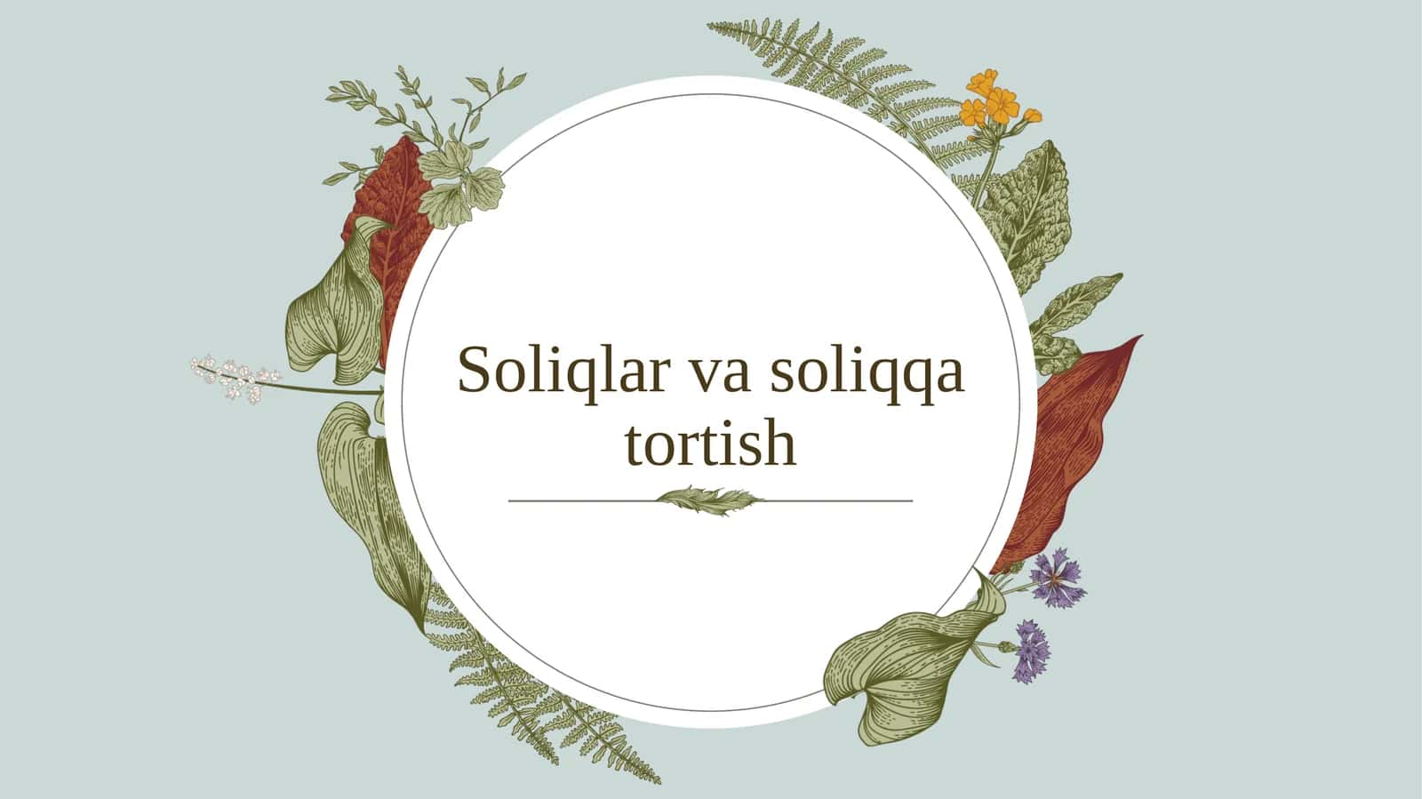 Soliqlar vasoliq qatortish