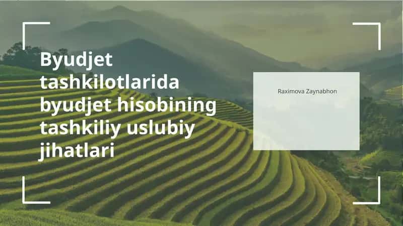 Byudjet tashkilotlarida byudjet hisobining tashkiliy uslubiy jihatlari